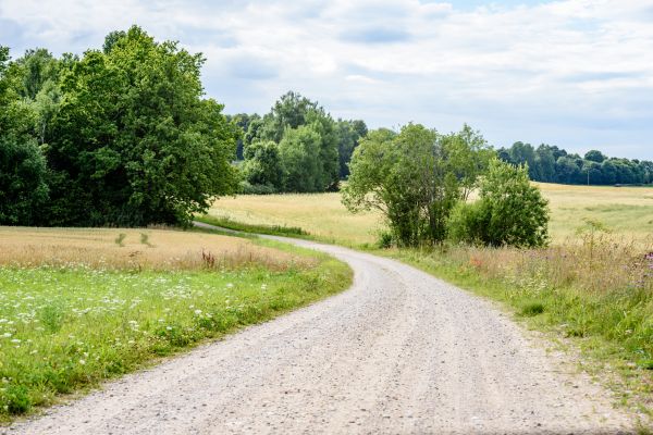 Cost of Stone Driveway Repair in Foley