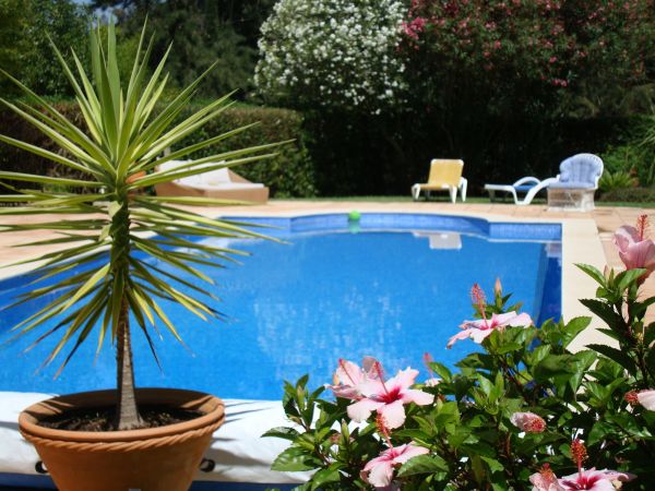Cost of Pool Terrace Renovation in Foley